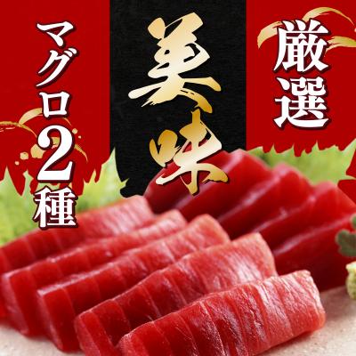 ふるさと納税 室戸市 本マグロ　南マグロ　中トロ各1柵　(計400g)　食べ比べ |  | 01