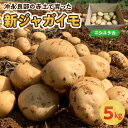 【ふるさと納税】【2025年先行予約】 新ジャガイモ 5kg ニシユタカ 2～4月お届け 沖永良部 赤土 新じゃが じゃがいも ポテト 野菜 根菜 芋 期間 数量 限定 ミネラル 大容量 化粧箱 美味しい カレー 鹿児島 サトキンファーム 知名町 おすすめ プレゼント ランキング ギフト