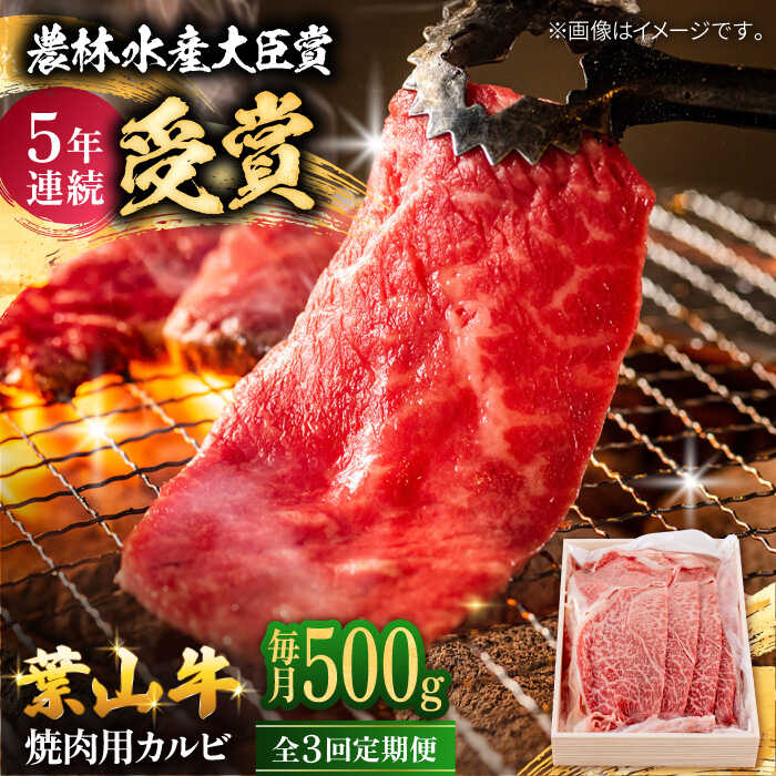 【ふるさと納税】【全3回定期便】 葉山牛 焼肉用カルビ500g / 牛肉 牛 肉 お肉 国産 やきにく 焼き肉 カルビ かるび BBQ ブランド牛 和牛 黒毛和牛 国産牛 贈答 ギフト 冷凍 葉山 定期 定期便 【有限会社葉山旭屋牛肉店】[ASAP038]