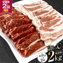 【ふるさと納税】【2回 定期便 】至福の焼肉セットC 1kg×2回 総計2kg《隔月1回お届け》 [関精肉畜産 宮城県 加美町 44581359] 豚 豚肉 ポーク 牛カルビ 焼肉 BBQ 真空パック 冷凍