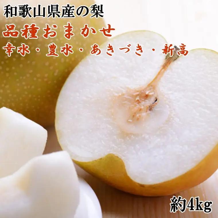 【2027年度発送】和歌山県産の梨約4kg(品種おまかせ)【2027年8月上旬～2027年9月中旬頃に順次発送予定】【tec966C】