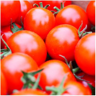 ふるさと納税 遠野市 旬のとれたて野菜セット(5~7品)ライトサイズ【こんたでぃーの遠野】 |  | 02