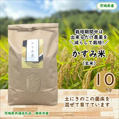 ふるさと納税 行方市 【毎月定期便】栽培期間中出来るだけ農薬を減らしたかすみ米 玄米10kg茨城県共通返礼品潮来産全12回
