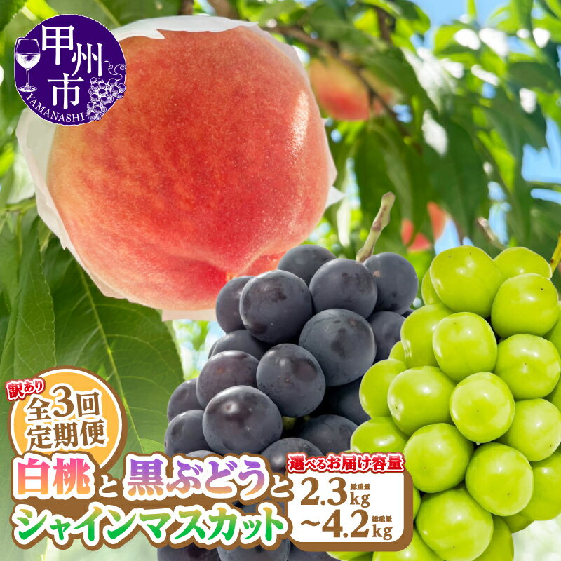 【ふるさと納税】 訳あり フルーツ 定期便 3回 果物 桃 黒ぶどう シャインマスカット 選べる内容量 もも 1kg～2kg以上 ぶどう 800g～1.2kg以上 シャイン 500g～1kg以上 山梨県 甲州市 期間限定 2025年発送 7月 8月 9月 発送 冷蔵 クール 白桃系 葡萄 社員マスカット （AGB）