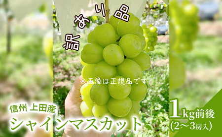 訳あり シャインマスカット 1kg前後