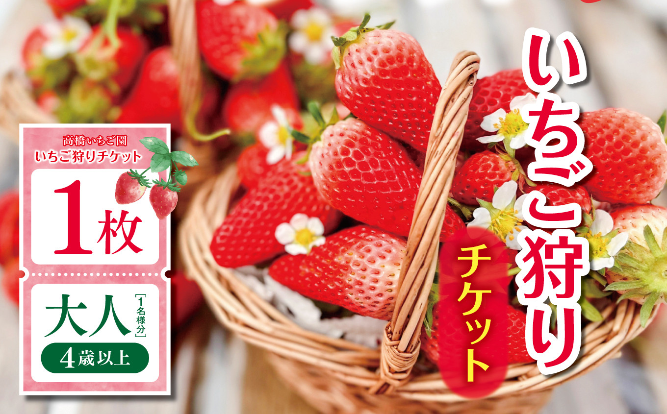 
            【千葉県君津市 高橋いちご園】いちご狩りチケット 大人（4歳以上）1名様分 | イベント チケット いちご園 利用券 チケット 観光 千葉県 君津市
          