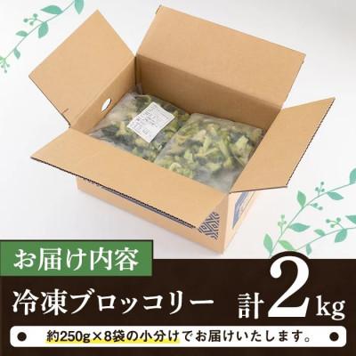 ふるさと納税 阿久根市 《先行予約受付中!2025年12月より順次発送》鹿児島県産 冷凍ブロッコリー 計2kg |  | 03