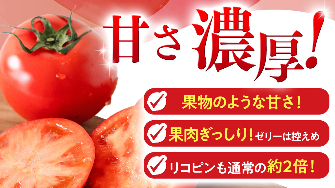 《 2027年 収穫分 》2～3月配送 スーパーフルーツトマト 中箱 約1.2kg × 1箱 (12～18玉/1箱) 糖度9度以上 先行予約 茨城県 桜川市 KEK 国産 トマト フルーツトマト ブラ