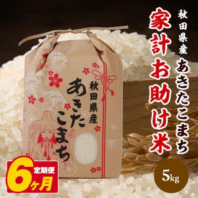 ふるさと納税 八郎潟町 【毎月定期便】あきたこまち 家計お助け米 5kg【白米】 秋田県産全6回