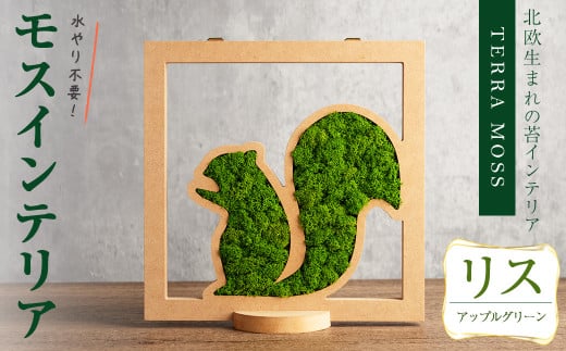 モスインテリア「リス」(アップルグリーン) ＜横200mm・高さ200mm・幅15mm＞ 観葉植物  苔 コケ テラモス インテリア 植物 【結び】 sh028-B