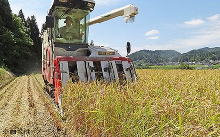 48-M051【無洗米】新潟県長岡産特別栽培米コシヒカリ5kg