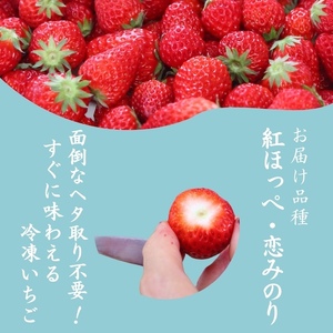 【先行予約】特別賞受賞！完熟 冷凍いちご BabyBerryFarm（2kg） 【 いちご 苺 いちご 静岡いちご いちご 冷凍いちご いちご 】 
