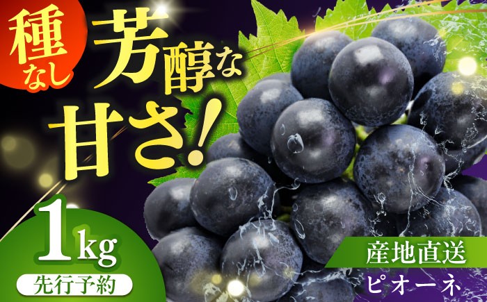 
                  [伊万里産]山和農園の種なしピオーネ約1kg（2房）
                