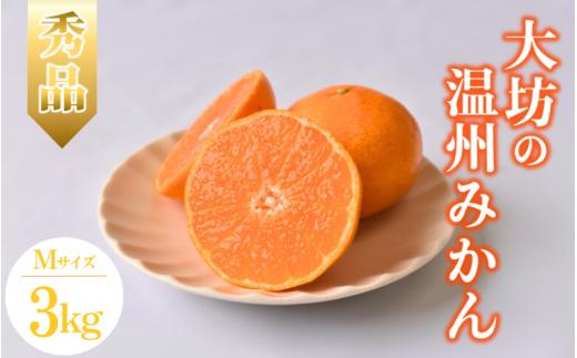 【2025年分先行予約】大坊の温州みかん 3kg（Mサイズ） ※2025年11月中旬～12月下旬頃に順次発送予定【期間限定・数量限定】 / みかん 蜜柑 3キロ お取り寄せ 産地直送 贈答品 ギフト 果物 くだもの フルーツ 田辺市 和歌山県【ymh017】