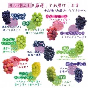 【2026年先行受付】岡山　花笑み農園『ブドウの宝石箱』3種以上(18粒入り)　3M-宝18【配送不可地域：離島】【1696016】