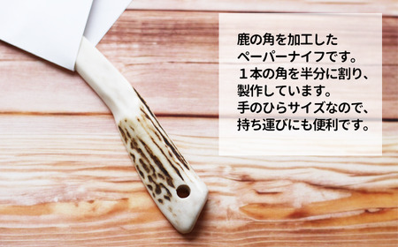 鹿の角 ペーパーナイフ 小 1個 右手用 【竜鹿】／ 鹿角 鹿 しか シカ グッズ 本物 加工 加工品 工芸 工芸品 クラフト ナイフ 右利き 日用品 雑貨 不揃い ふぞろい １個 人気 事務用品 事