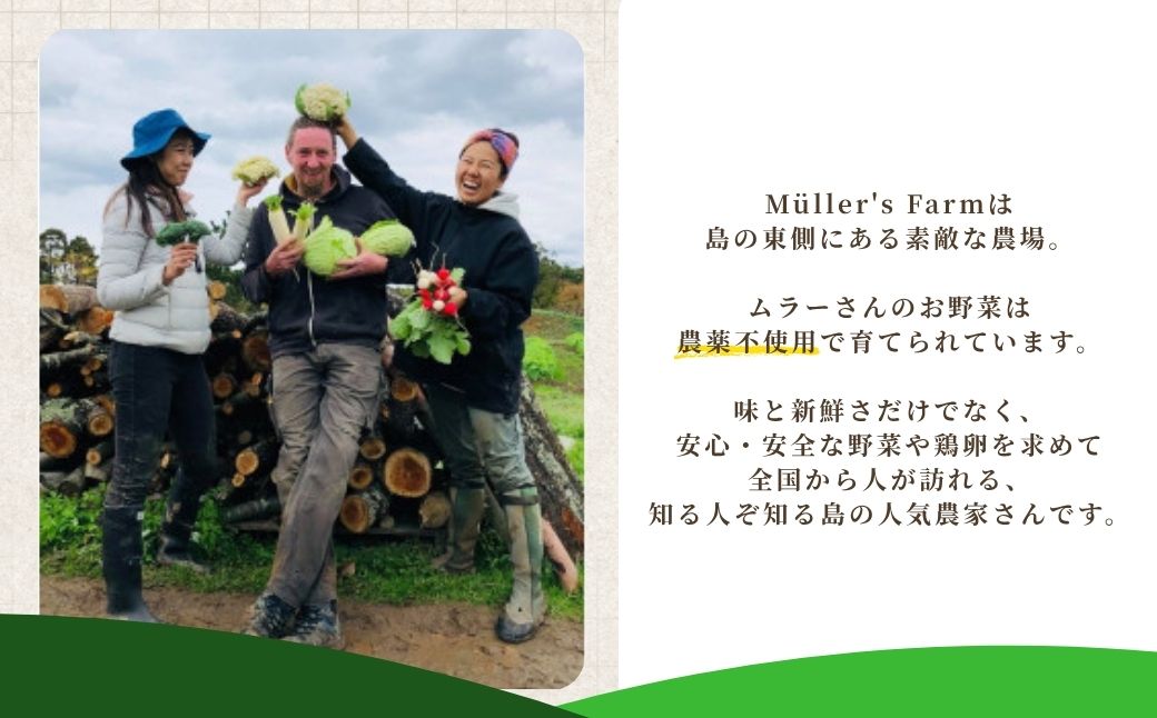 季節の野菜詰め合わせ（5〜6種）！農薬不使用だから安心安全！