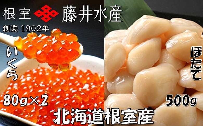 【北海道根室産】いくら醤油漬80g×2P、お刺身帆立貝柱500g B-42087