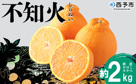 ＜おはこやがつくる おはこデコ（不知火）約2kg（L～3Lサイズ）＞ 果物 フルーツ 柑橘 しらぬい みかん 特産品 西宇和 愛媛県 西予市【常温】『2026年2月上旬～2月下旬迄に順次出荷予定』MOK0019