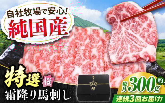 
            【全3回定期便】『純国産』熊本の味「桜」霜降り馬刺し「特選」 計約900g（約300g×3回）  霜降り 馬肉 馬刺【有限会社 九州食肉産業】 [AYCN012]
          