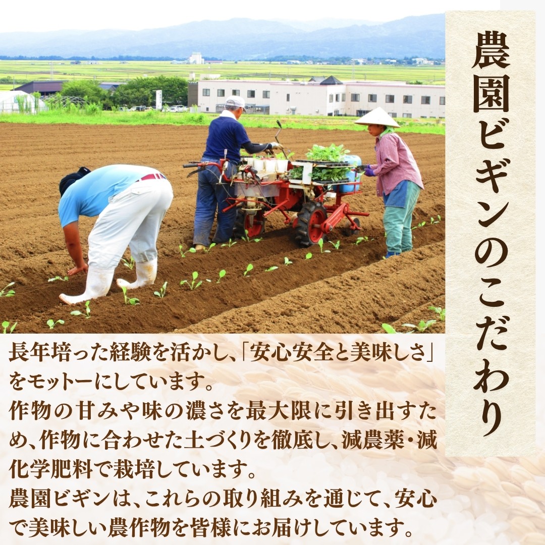 モチモチ食感と優しい甘み！ご飯だけで主役級の美味しさの希少原種コシヒカリ