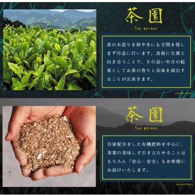 ふるさと納税 静岡市 【駿府堂茶舗】の和紅茶50g×5パック | 清水紅茶 | 国産紅茶 |  | 02