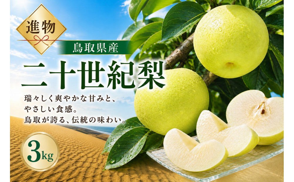 山根農園 二十世紀梨 ギフト3kg