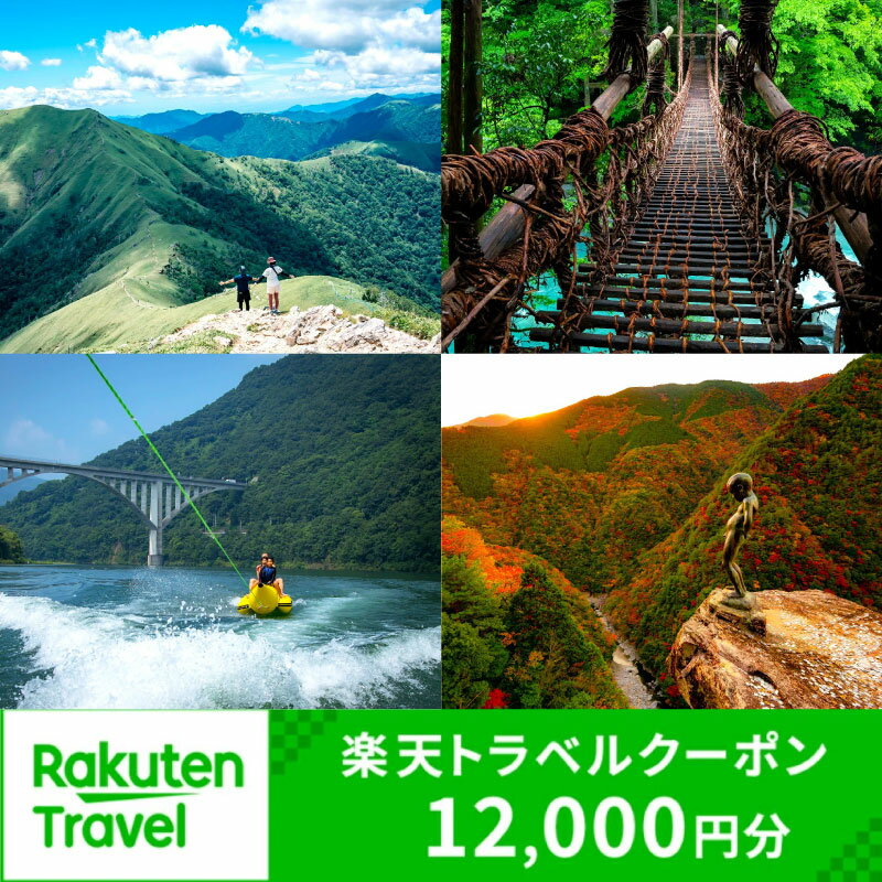 【ふるさと納税】 楽天トラベル 宿泊券 ホテル 徳島県 三好市 宿泊 クーポン 祖谷温泉 大歩危 小歩危 祖谷 温泉 旅館 温泉旅館 温泉宿 グルメ アクティビティ ラフティング みよし 旅行 観光 徳島旅行 楽天 トラベル 寄付額 50,000円