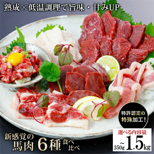 【ふるさと納税】レビューキャンペーン対象 選べる内容量 出荷月指定 馬肉 盛り合わせ 6種 特許製法 氷温熟成 低温調理 レア 赤身 フタエゴ ハツ サガリ ユッケ コウネ 小分け 焼くだけ簡単 専用醤油 タレ付 真空パック 熊本 小国町 送料無料【地場産品基準：類型3】