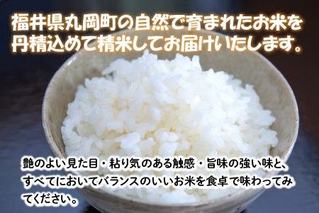 【令和7年産・新米】 【6ヶ月連続お届け定期便】おおかわさんちのコシヒカリ 10kg × 6回 計60kg  [O-10803]
