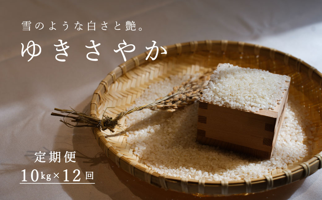 ≪定期便12ヶ月≫ ゆきさやか 10kg×12回 計120kg 米 精米 北海道米 北海道産 10kg 当麻町 長谷川農園 120kg以上【U-027】