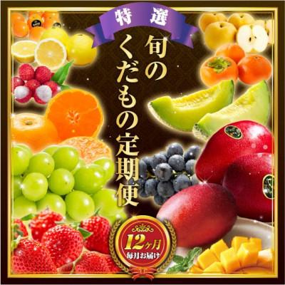 ふるさと納税 新富町 【発送月固定定期便】旬のくだもの定期便「特選コース」全12回