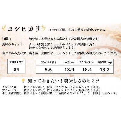 ふるさと納税 南相馬市 JAS有機米 コシヒカリ 白米 10kg(5kg×2袋) 令和7年産 | 有機米 渡部有機農園 |  | 01