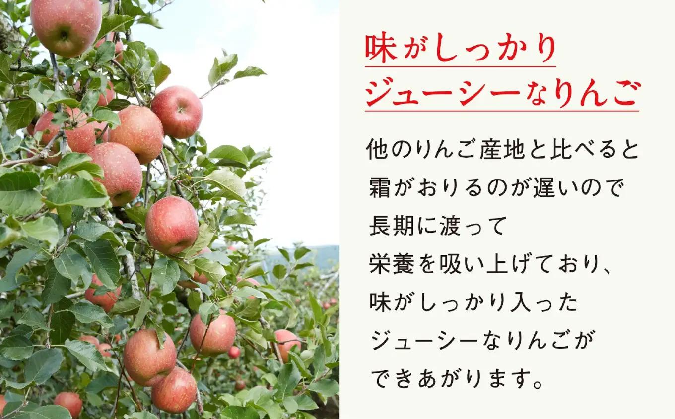 りんご ジョナゴールド 約2.5kg 果物 米崎りんご マルキヨファーム