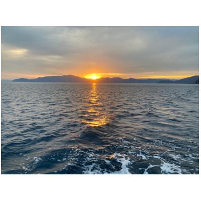 ふるさと納税 美浜町 【11月より順次発送】地物!はるか丸が厳選。《釜茹で》越前がに【中サイズ1杯】 |  | 02