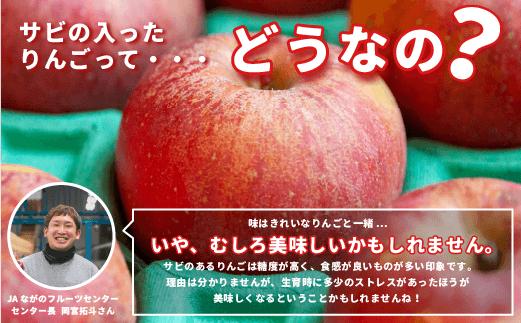 【 感謝りんご / 光センサー選別品 】 りんご シナノゴールド 訳あり 2kg （ 5玉 ? 12玉 ） 交換保証 ながの農業協同組合 沖縄県への配送不可 2026年11月上旬頃から2026年11月下旬頃まで順次発送予定 令和8年度収穫分 傷 不揃い リンゴ 林檎 果物 フルーツ 信州 長野 予約 長野県 飯綱町 [1868]