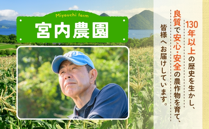 北海道産 とうもろこし 糖度20度以上 恵味 めぐみ 2L 10～12本 2026年7月下旬～8月下旬頃にお届け 先行受付 朝採り トウモロコシ スイート コーン  旬 夏 野菜 新鮮 産地直送 宮内