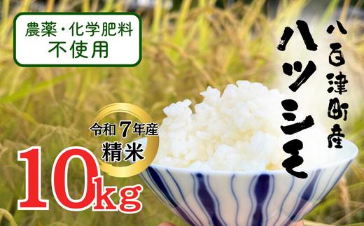 
            新米先行受付(11月15日以降発送)【令和7年産】栽培期間中農薬・化学肥料不使用 オータニ農業の『ハツシモ』精米10kg (529)
          