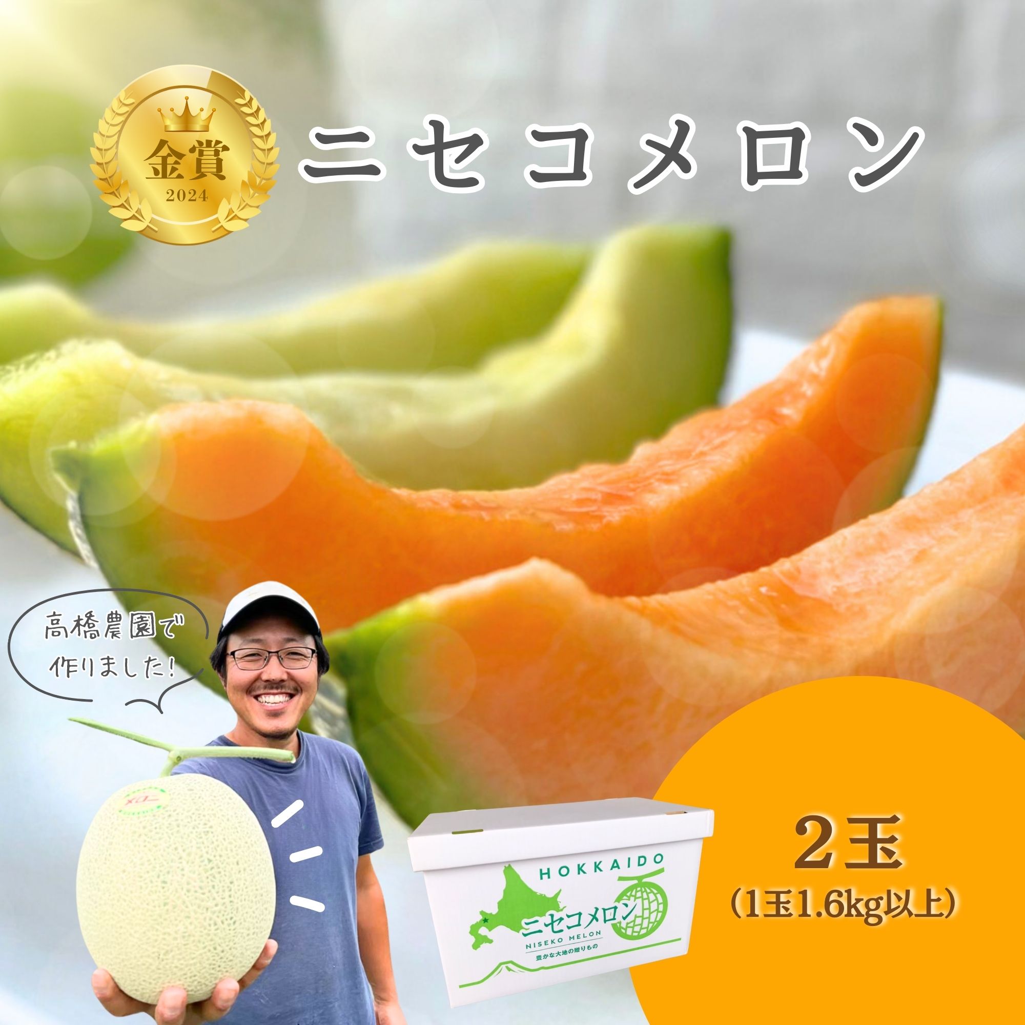 《2025年分受付中》糖度13度以上!市場には出回らない北海道ニセコメロン2玉（1玉1.6kg以上）/高橋農園【37002】