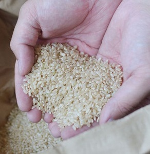 【新米】米 玄米 5kg 伊予あぐり米「にこまる」 令和6年産 米 農薬・化学肥料不使用 米 玄米 令和6年産 米 お米 こめ 農薬・化学肥料不使用 こだわりのお米 愛媛県 松前町 松前 まさき 愛媛