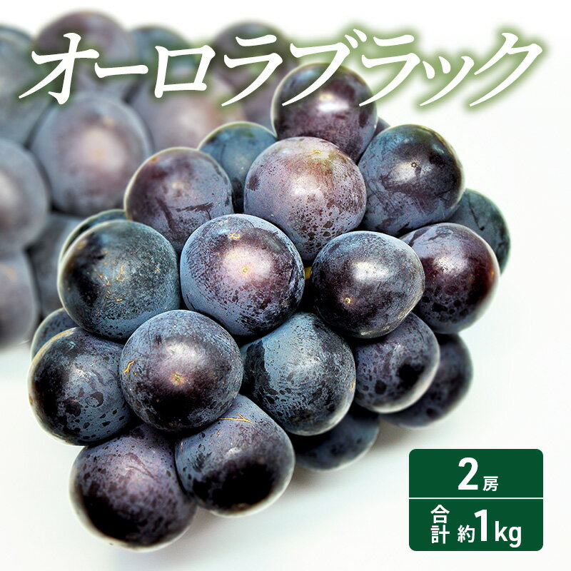 【ふるさと納税】2025年 先行予約 オーロラブラック 2房 合計約1kg 常温配送 ぶどう 葡萄 フルーツ 果物 岡山 　 岡山のぶどう 食後 デザート 産地直送 大粒 爽やか 食べやすい 　お届け：2025年8月中旬～2025年9月下旬