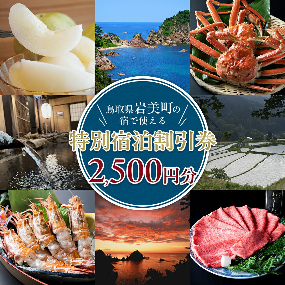 【ふるさと納税】特別宿泊割引券（2,500円分）岩美町限定｜鳥取県 岩美町 観光 宿 旅館 民宿 コテージ 宿泊 宿泊券 宿泊割引券 旅行 レジャー【61003】