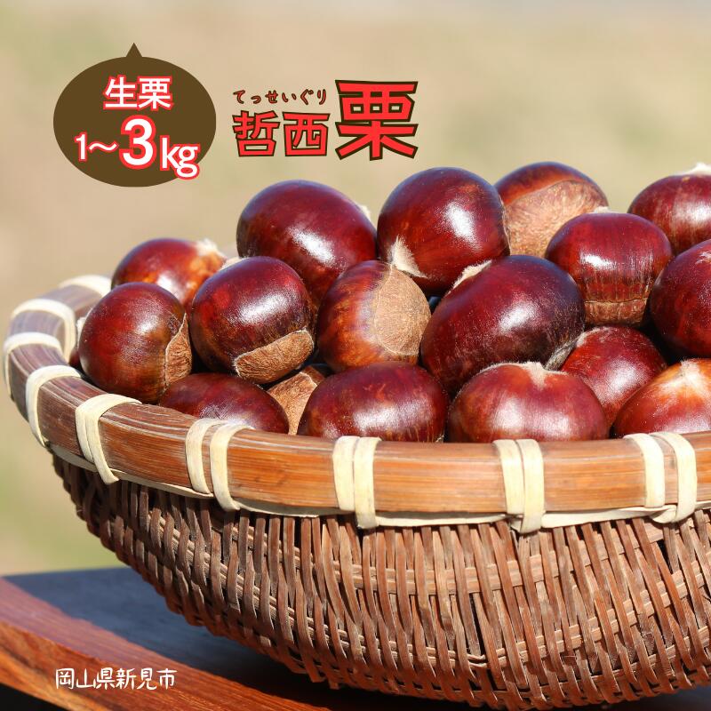 【ふるさと納税】哲西栗 生栗 1kg 2kg 3kg 幻の栗 新見市 岡山県新見市