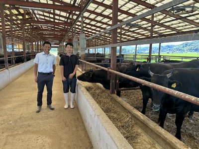 A5ランク 鳥取和牛ももスライス 400g 牛肉 精肉 肉 カタセイ 黒毛和牛 和牛 モモスライス ももスライス 和牛らんぷ 牛もも 赤身 黒毛和牛 5等級 スライス 牛肉 すき焼き 高級肉 和牛 お
