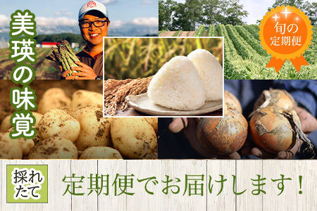 旬の野菜セット 5回 定期便  野菜 百合 美瑛の四季【令和8年産予約受付】 