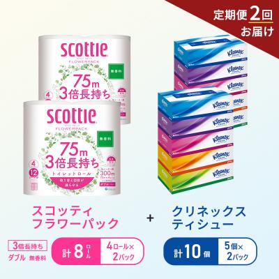 ふるさと納税 岩沼市 【6ヶ月ごと計2回お届け】ティッシュ+トイレットペーパー無香料2P[No.5704-1783]