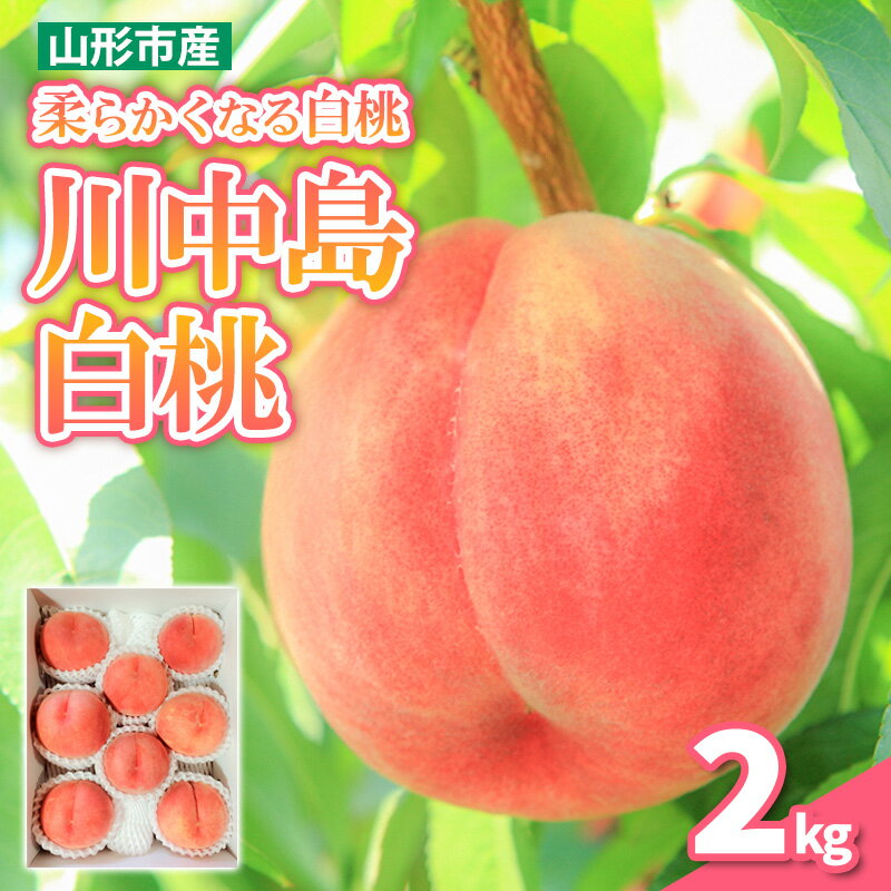 【ふるさと納税】柔らかくなる 川中島 白桃 秀品 2kg (5個～8個)【令和8年産先行予約】FS25-145