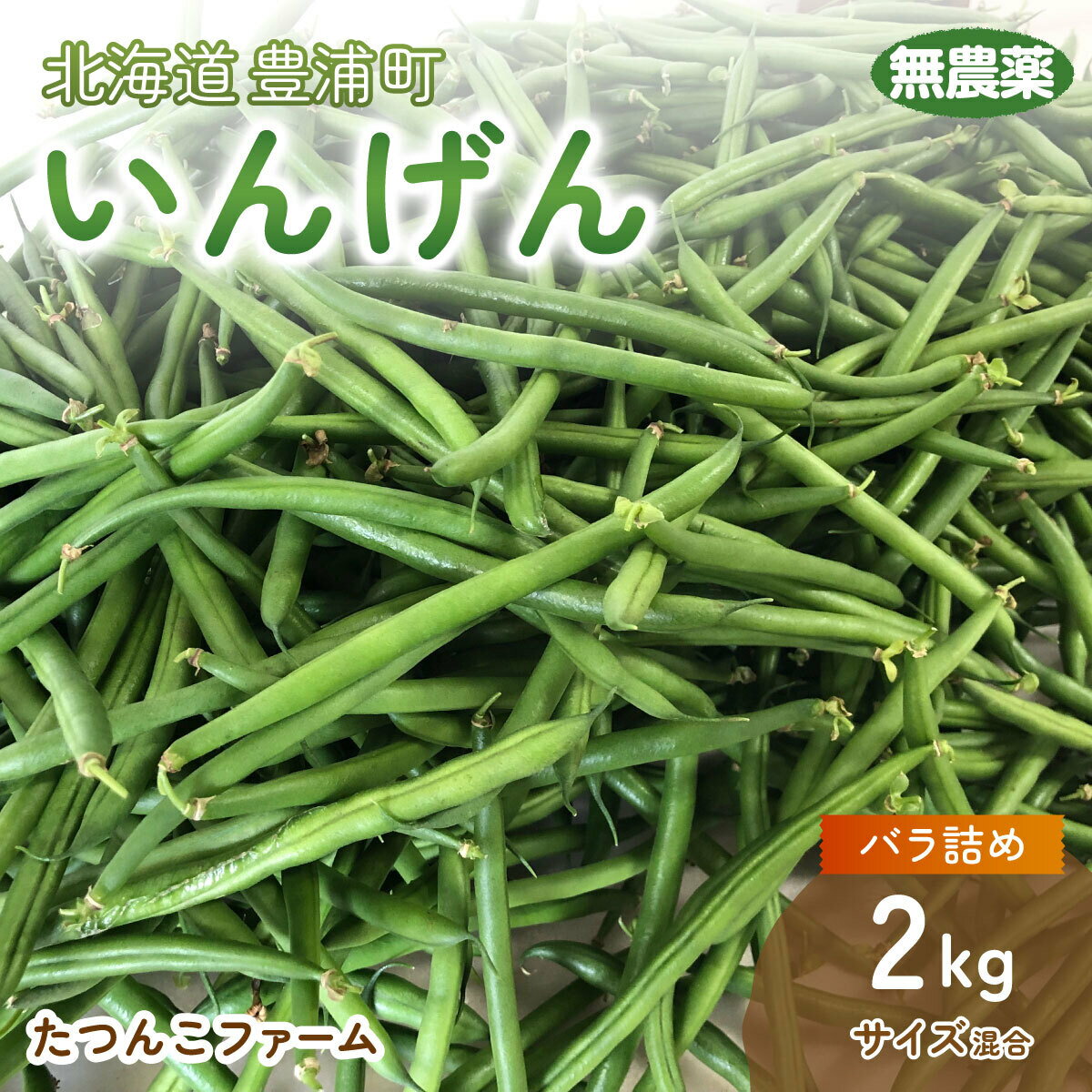 【ふるさと納税】 【2025.7月以降順次出荷】いんげん (200g × 6袋) 1.2kg　サイズ混合 北海道 豊浦町 【 ふるさと納税 人気 おすすめ ランキング 野菜 根菜 いんげんインゲン国産 バラ 詰合せ 混合 おいしい 美味しい 甘い 北海道 豊浦町 送料無料 】 TYUF002