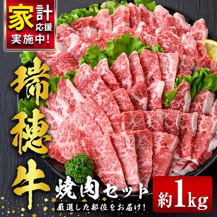 焼肉 セット 約1kg 瑞穂牛 牛肉 国産 【焼肉】【ho0903】