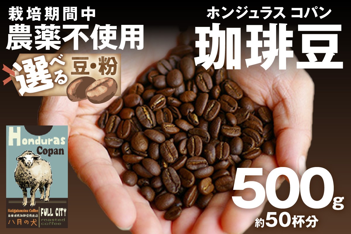 
                  【栽培期間中農薬不使用】自家焙煎コーヒー豆 ホンジュラス　コパン 500g（250g×2） 約50杯分 小分け　豆・粉 選べる 八月の犬 ドリップ 飲み比べ　お試し 珈琲 コーヒー コーヒー豆 豆 自家焙煎 栽培期間中農薬不使用 セット 詰め合わせ 飲み比べ 比べ 送料無料 京都 から 焙煎したて を 直送 美味しい　HA00025
                